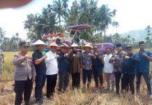 Cindy Monica Salsabila,S.M Salurkan Bantuan Pertanian Dipasaman ,Dorong Sinergi Pusat dan Daerah.