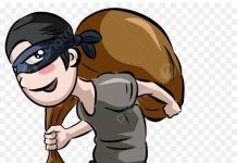 Dugaan Pencurian Padi Seret Nama Ketua Bamus Cubadak Barat Menuai Sorotan Publik.