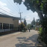 Pohon Tua Rentan Roboh,Warga Cilodong berharap DLHK KOTA DEPOK Melakukan pemangkasan pohon.