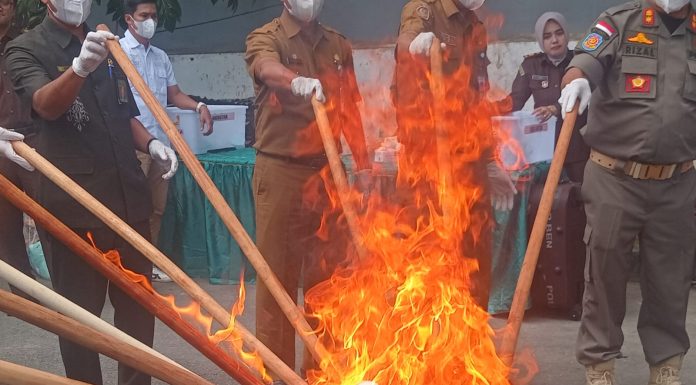 513 Kg Narkoba di musnahkan Kejari Pasaman beri peringatan keras pada Bandar Narkoba.