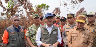 Menhut Raja Antoni turun ke Karhutla penanganan hutan terbakar.