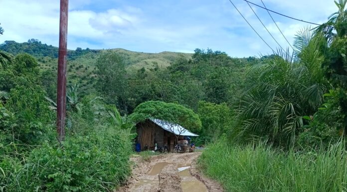 Jalan Muaratais Koto Gadang Memprihatinkan Masyarakat Menanti Pemerataan Pembangunan.
